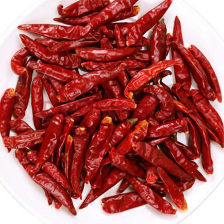 w88win�ŵ¡�(�й�)�ֻ������